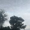 snowcloud96