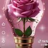 user93534457022158