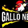 elgallonegro8303