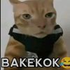 febi_2gd