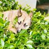 funnyedits.com4