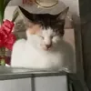 rosiennrry23