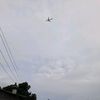 adewi88
