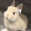 น้องต่ายเองฮ่ะ