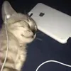 paul_nthny