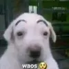 jose._.roberto1