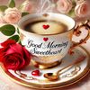 rashidiqbal6353