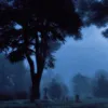 _wydix33_