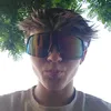 zieroom_de_pisboom