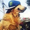 tomtombacanabacaninha