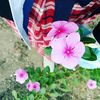 bundaameera3