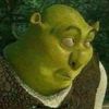 shreks_left.kidney