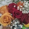 lissethrojasrosas