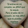 user402lp0n054
