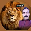 shabbirahmad9747