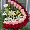 user5208006268487