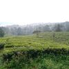 fitriindriani059