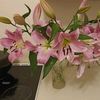 55_zarina_47