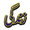 sheraz.khan2090