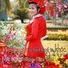 nguyennguyen6231