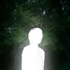 8_oklj