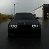 bobr_kurva28