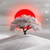 user5037452101456happyl2