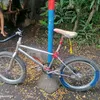 fredom36