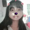 b_tran2666