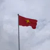 nguyen.thihue7