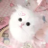 hrut_hrut