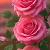 elienealves73208