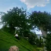 habuon91