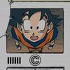 ____________________goku