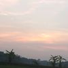 mstsumona55