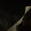 niviblossom