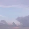nguyenlili48