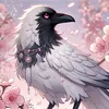 rabi.sakura