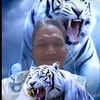 dikaatuy