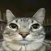 qweqweee1