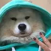 feweks