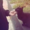 jumana_430