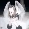 thecatgooo