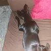 marcos.profiro.de
