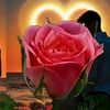 rehanhazem12