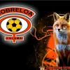 cobreloa.3