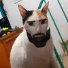 meowsosuke