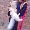 kittynkittens0