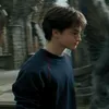 potterclawn