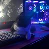 i9ts